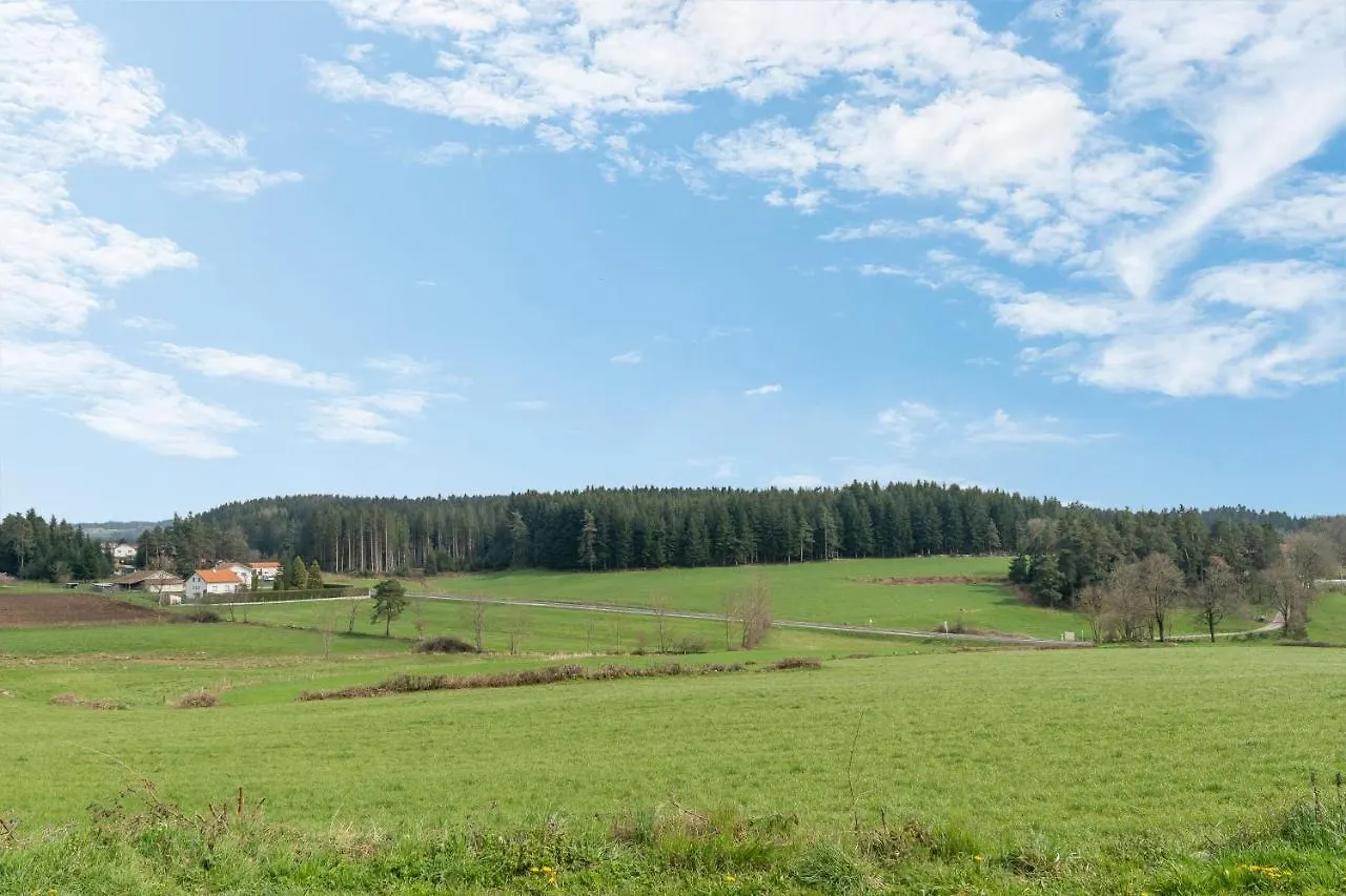 Prunieres - Joli T2 Dans La Haute-Loire Saint-Pal-de-Mons 0*,  France